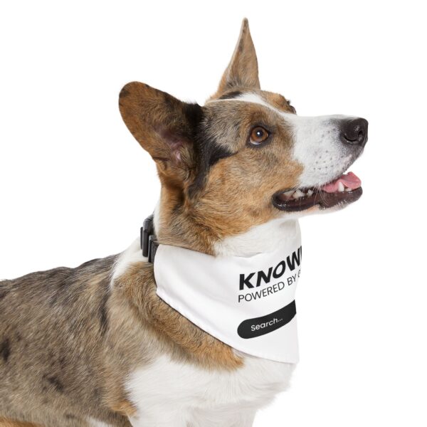 Pet Bandana Collar - Image 9