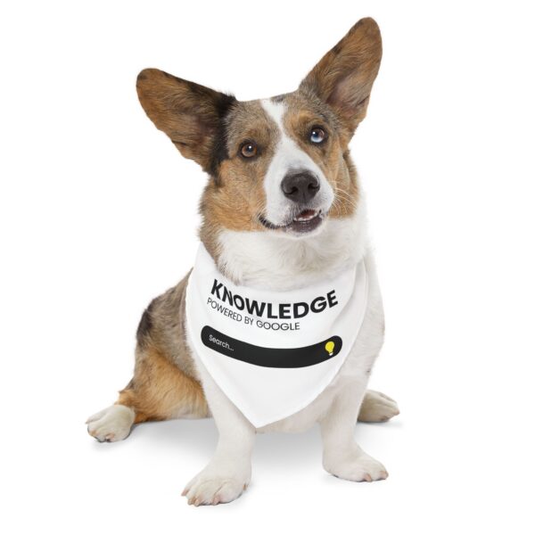 Pet Bandana Collar - Image 11